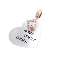 Charm Rerum Donna AMORE in Argento Cristallo 25057 - 25057